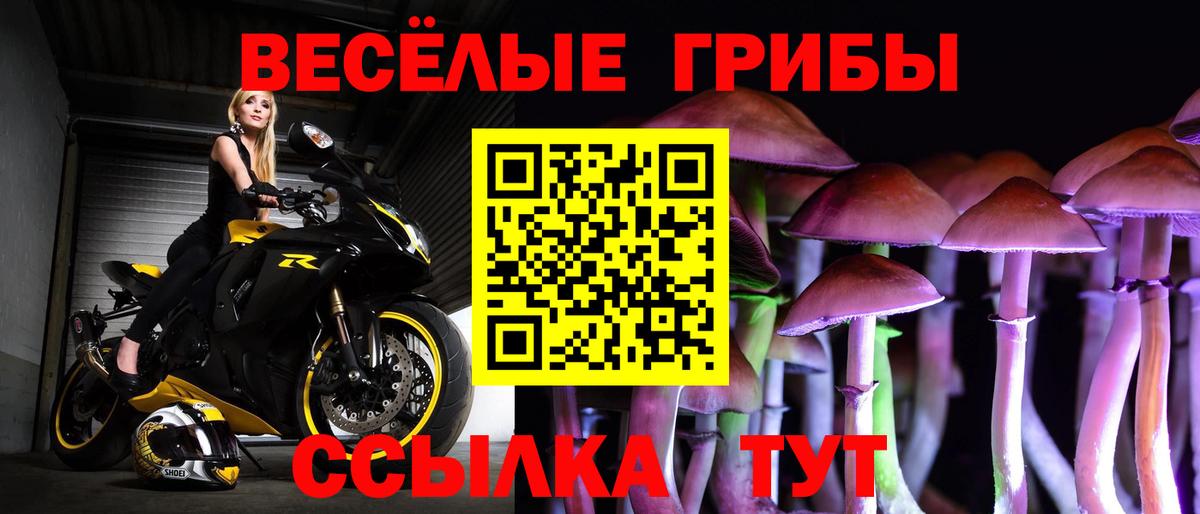 Псилоцибиновые грибы ЛСД  Вход с VPN  Псилоцибиновые грибы MAGIC MUSHROOMS  Новочеркасск 